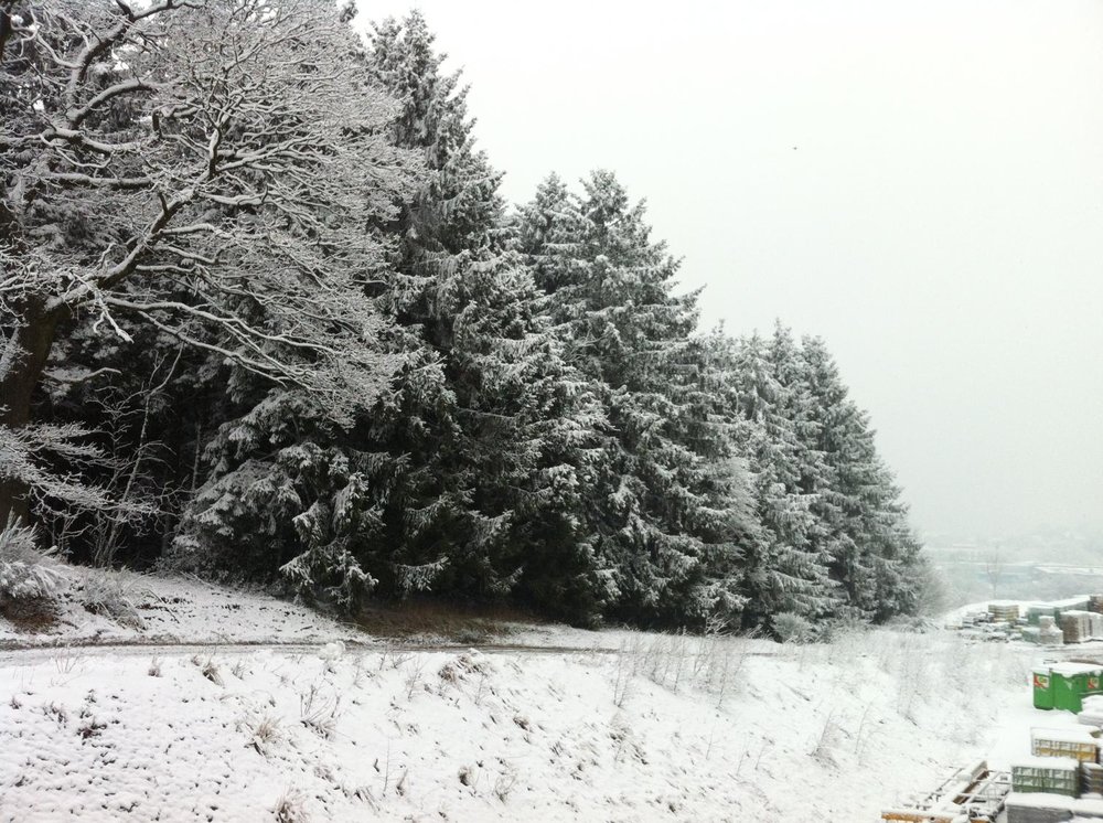 21M&#228;rz-2&#176;C.jpg
