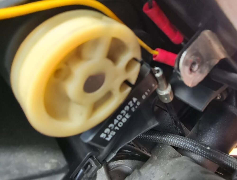 drossel1.thumb.jpg.f1d613b222e084ea51b494617f414fc8.jpg